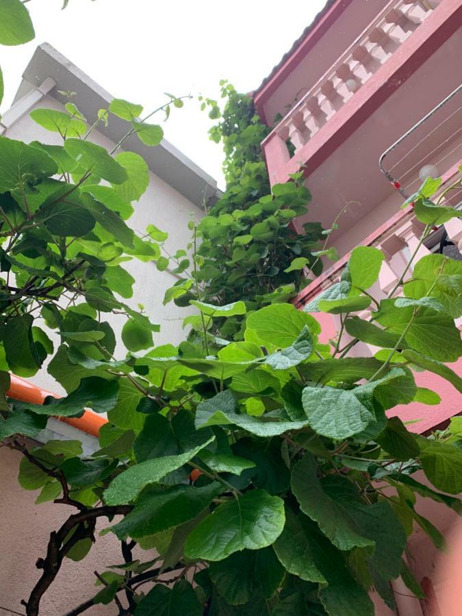 Rooms Kuljic บุดวา ภายนอก รูปภาพ