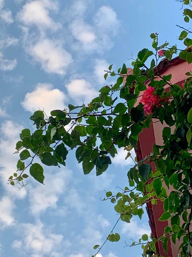 Rooms Kuljic บุดวา ภายนอก รูปภาพ